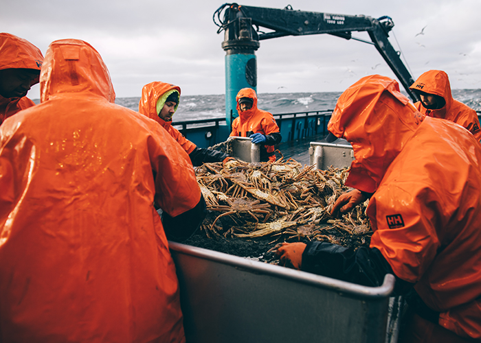 The crew sorts and receives the load from the crab pot.