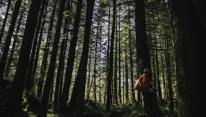 man in forest