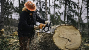man sawing tree trunk