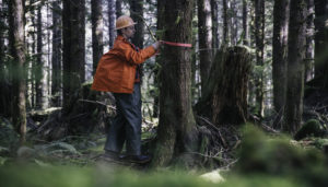 man in forest